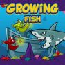 poster of Growing Fish game