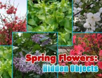 ملصق اللعبة Spring Flowers: Hidden Objects