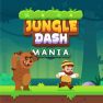 poster of Jungle Dash Mania game