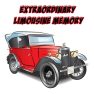 poster of Extraordinary Limousine Memory game