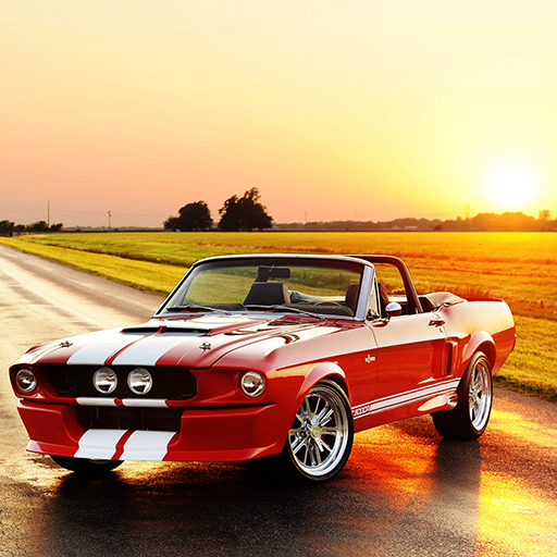 poster of Play Fancy Mustang Differences Game Online 2024 game
