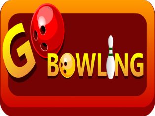 poster of EG Go Bowling game