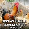 ملصق اللعبة Jigsaw Puzzle Domesticated Animals