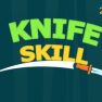 poster of Knife Skill game