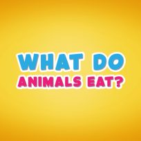 ملصق اللعبة What do animals eat