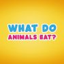 poster of What do animals eat game