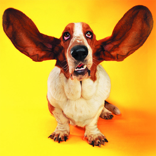 poster of Play Funny Cats and Dogs Jigsaw Puzzle Game Online 2024 game