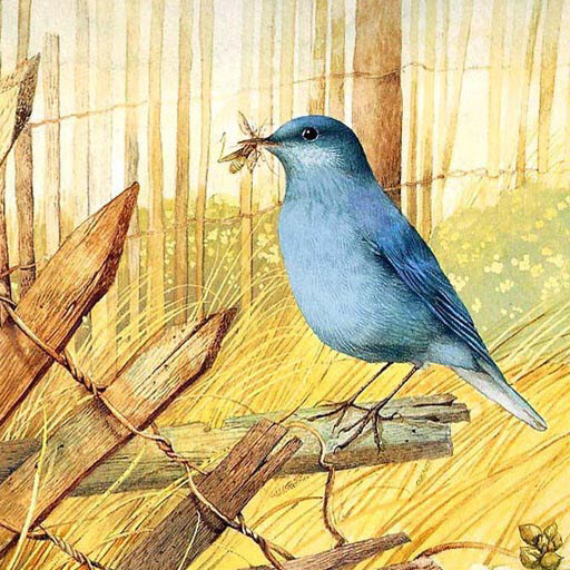 poster of Play Art Birds Puzzle Game Online 2024 game