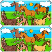 poster of Animals Differences game