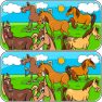 poster of Animals Differences game