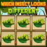 poster of Which Insect Looks Different game