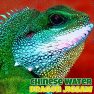 poster of Chinese Water Dragon Jigsaw game