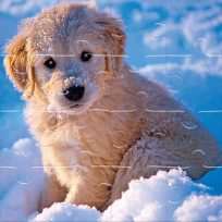 ملصق اللعبة Winter Pets Puzzle