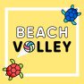 poster of Beach Volley game