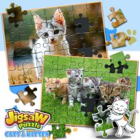 ملصق اللعبة Jigsaw Puzzle Cats & Kitten