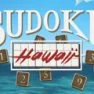 poster of Sudoku Hawaii game