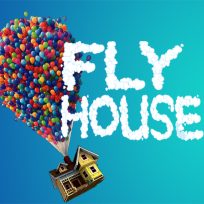 ملصق اللعبة Fly House