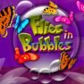 poster of Flies In Bubbles game