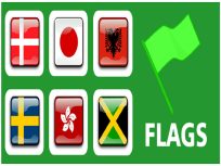 ملصق اللعبة EG Flags Memory