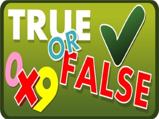 poster of EG True False game