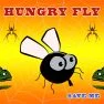 poster of Hungry Fly game