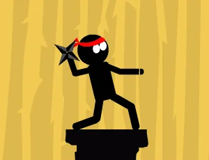 poster of Play The Last Ninja Game Online 2024 game