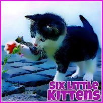 poster of Six Little Kittens game