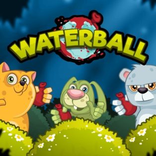 ملصق اللعبة Waterball