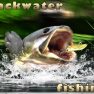 poster of Backwater Fishing game