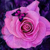 ملصق اللعبة Purple Roses Puzzle