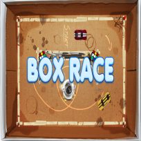 ملصق اللعبة Box Race