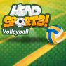 poster of Head Sports Volleyball game