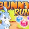 poster of Bunny Run game