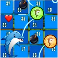 ملصق اللعبة Dolphin Dice Race