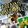 ملصق اللعبة Jigsaw Puzzle Funny Animals