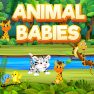 poster of Animal Babies game