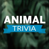 ملصق اللعبة Animal Trivia