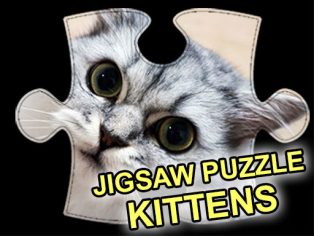 ملصق اللعبة Jigsaw Puzzle Kittens