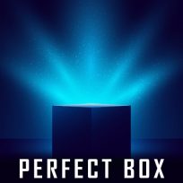 ملصق اللعبة Perfect Box