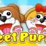 poster of Meet Puppy game