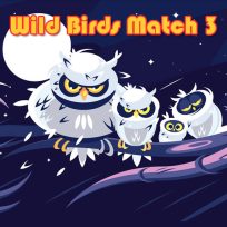 ملصق اللعبة Wild Birds Match 3