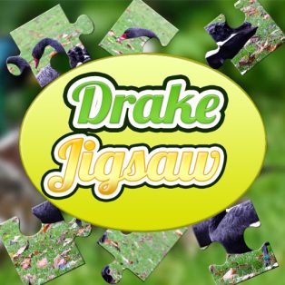 poster of Drake Jigsaw game