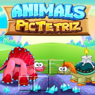 poster of Animals Pic Tetriz game