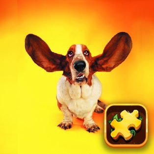 ملصق اللعبة Funny Dogs Puzzle