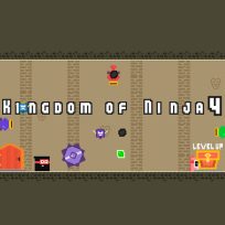 ملصق اللعبة Kingdom of Ninja 4