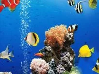 poster of Sea Underwater Difference game