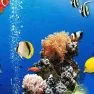 poster of Sea Underwater Difference game